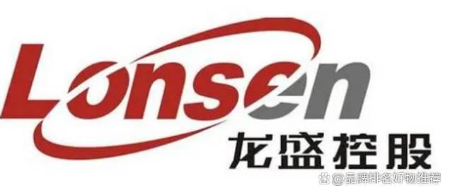 龙盛控股